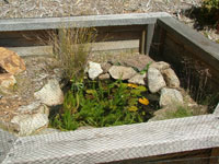 outdoor turtle cage pond detail