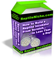 how to build a reptile incubator